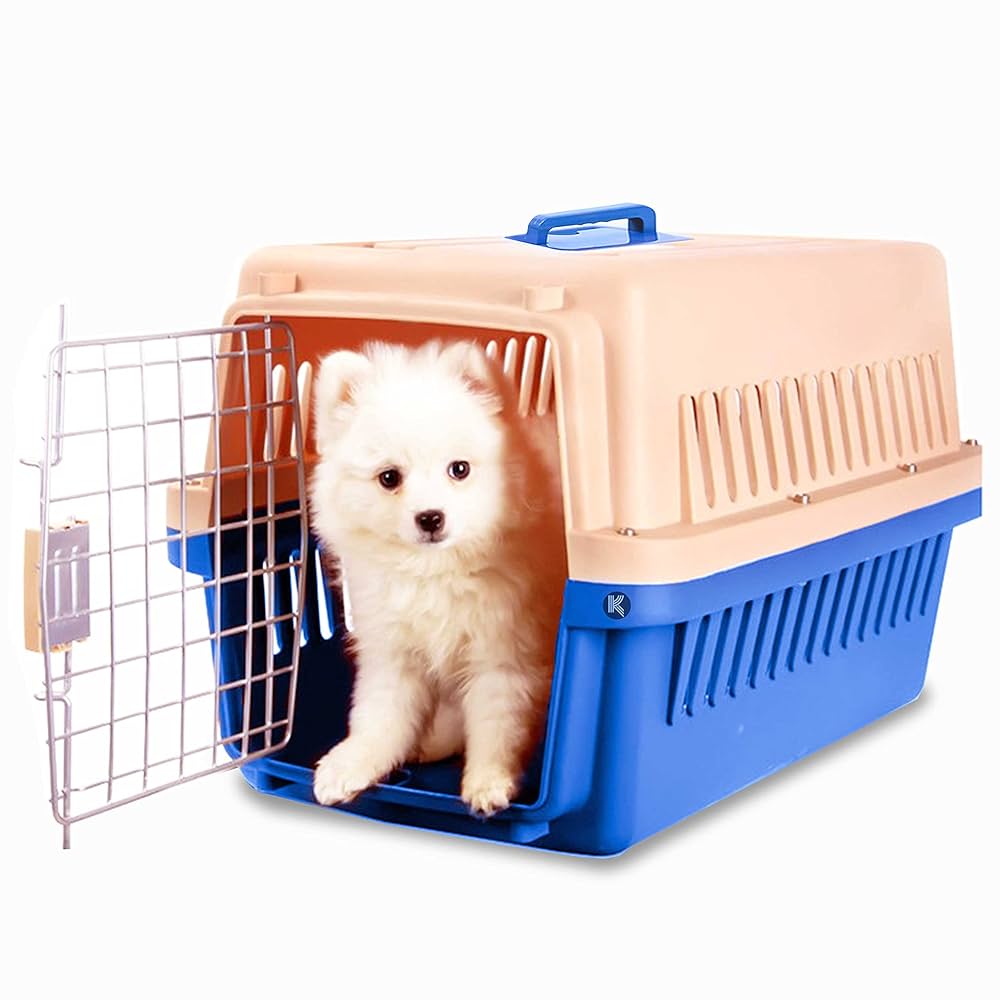 کیف و باکس حمل و نقل